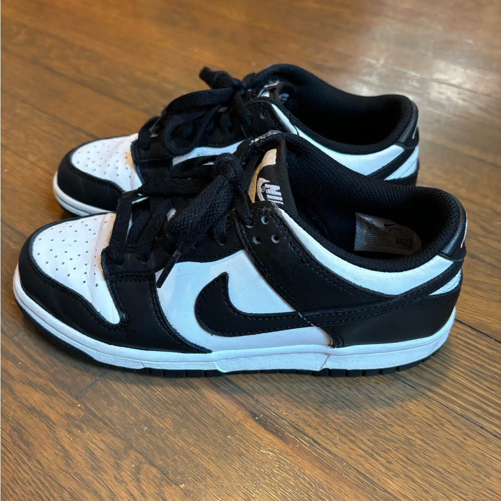 Kids Nike Dunk Sneakers